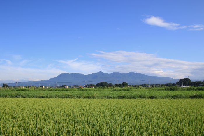 8月23日(水) AM 7:25 前橋市大前田町