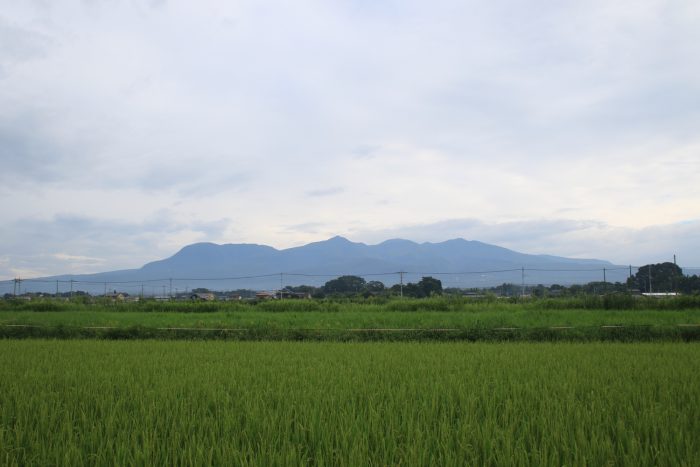 8月24日(木)　AM 7:26　前橋市大前田町