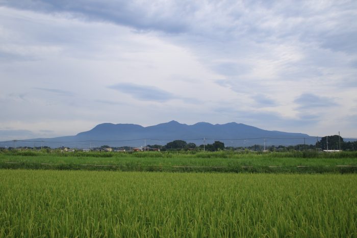 8月25日(金)　AM 7:30　前橋市大前田町