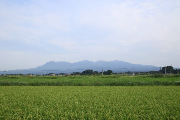 8月28日(月)　AM 7:27　前橋市大前田町