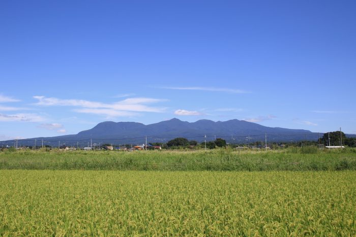 9月3日(日)　AM 10:01　前橋市大前田町