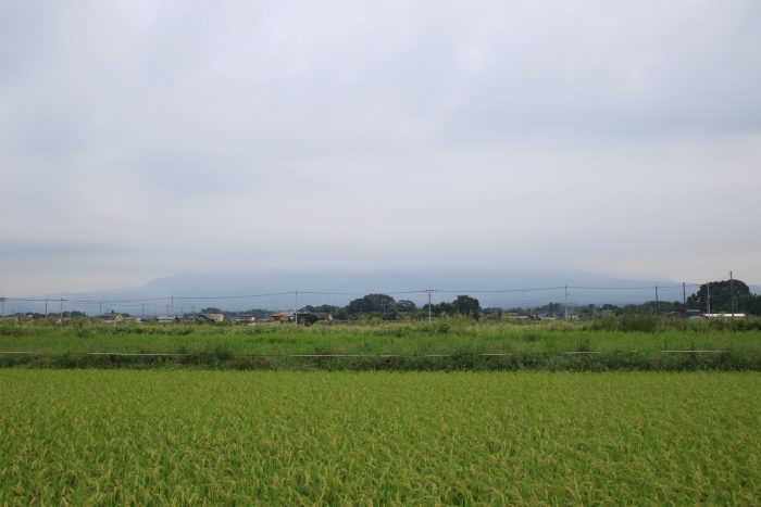 9月4日(月)　AM 7:23　前橋市大前田町