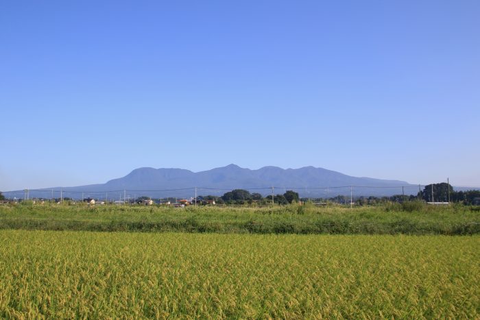 9月9日(土)　AM 7:30　前橋市大前田町