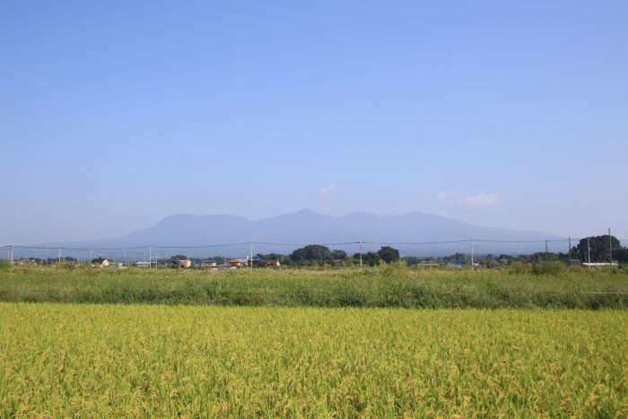 9月10日(日)　AM 8:14　前橋市大前田町