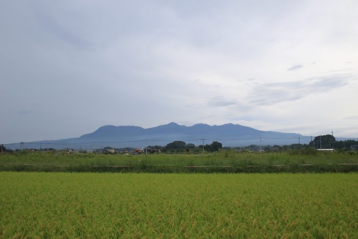 9月12日(火)　AM 7:25　前橋市大前田町