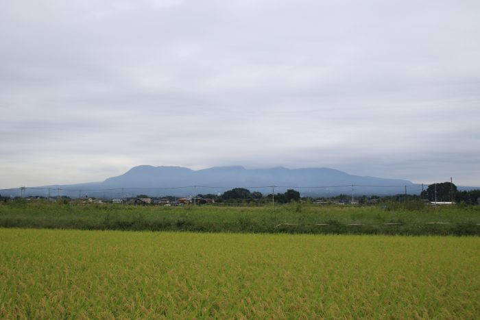 9月16日(土)　AM 8:03　前橋市大前田町