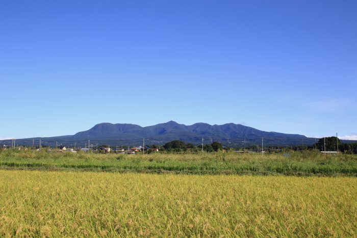 9月18日(月)　AM 7:52　前橋市大前田町