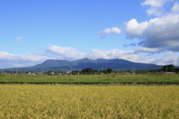 9月21日(木)　AM 7:27　前橋市大前田町