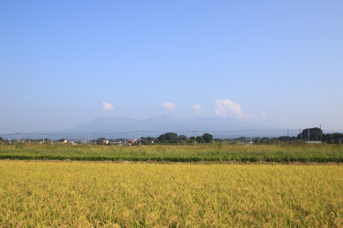 9月25日(月)　AM 7:28　前橋市大前田町