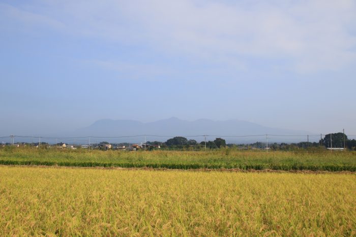 9月26日(火)　AM 7:29　前橋市大前田町