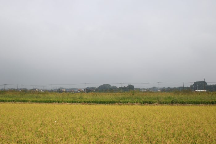 9月27日(水)　AM 8:34　前橋市大前田町