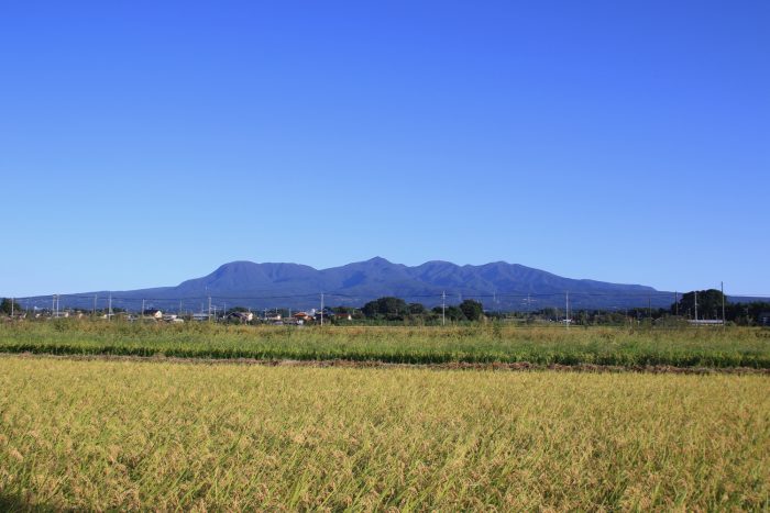 9月29日(金)　AM 7:07　前橋市大前田町