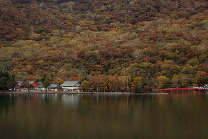 大沼の紅葉　10/14撮影