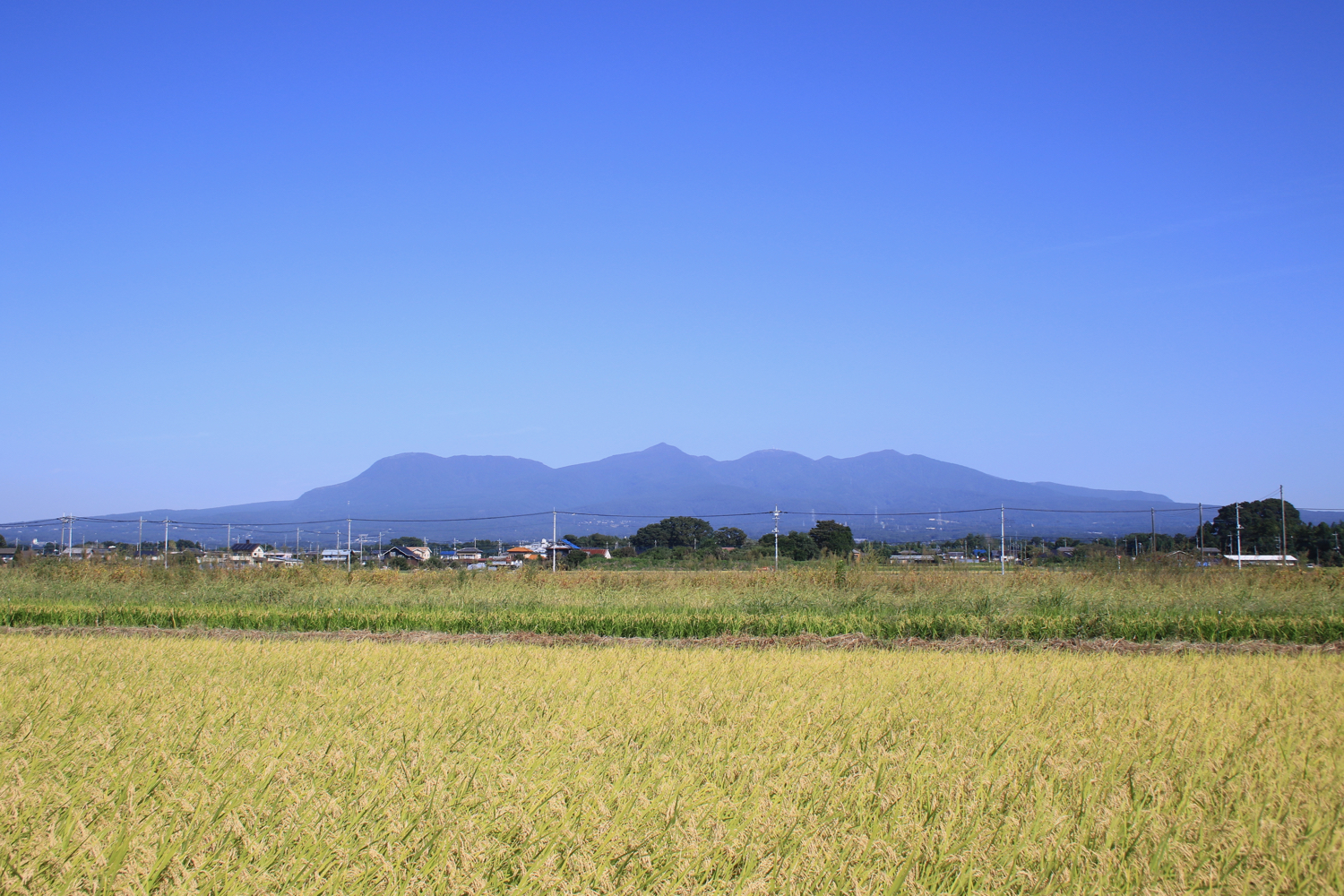 赤城温泉 花の宿 湯之沢館｜施設詳細｜