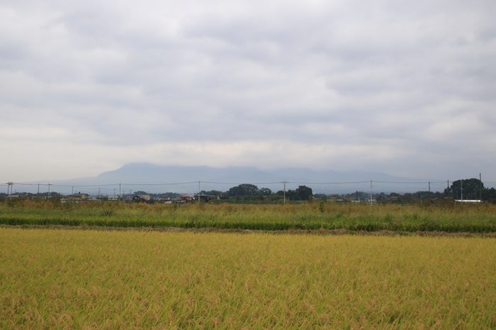 10月2日(月)　AM 7:26　前橋市大前田町