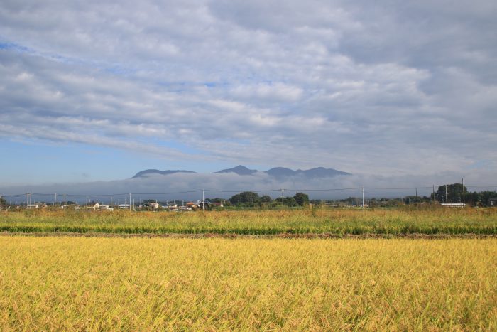 10月3日(火)　AM 7:32　前橋市大前田町