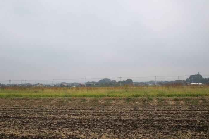 10月11日(水)　AM 9:06　前橋市大前田町