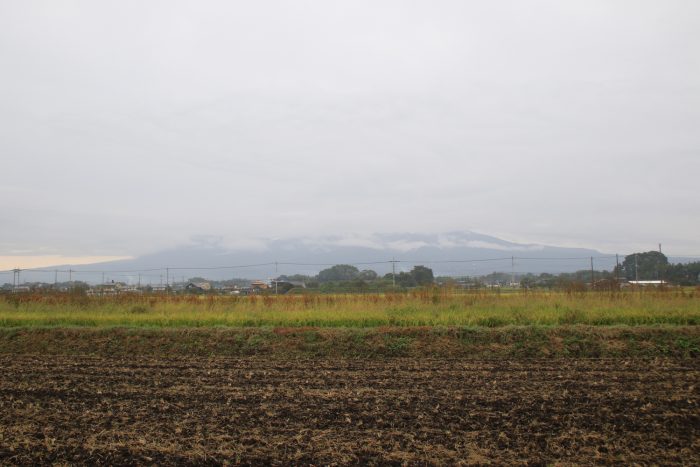 10月15日(日)　AM 8:17　前橋市大前田町