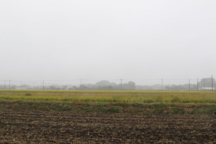 10月21日(土) AM 7:31 前橋市大前田町