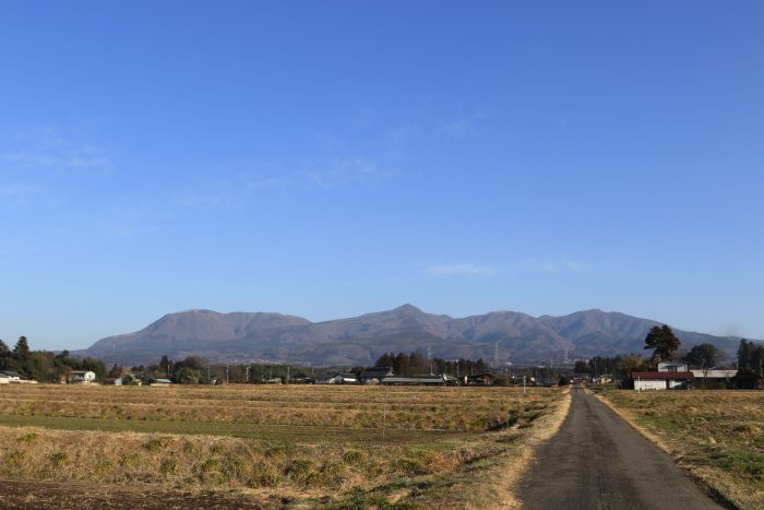 3月14日(水)　AM 7:41　前橋市苗ケ島町