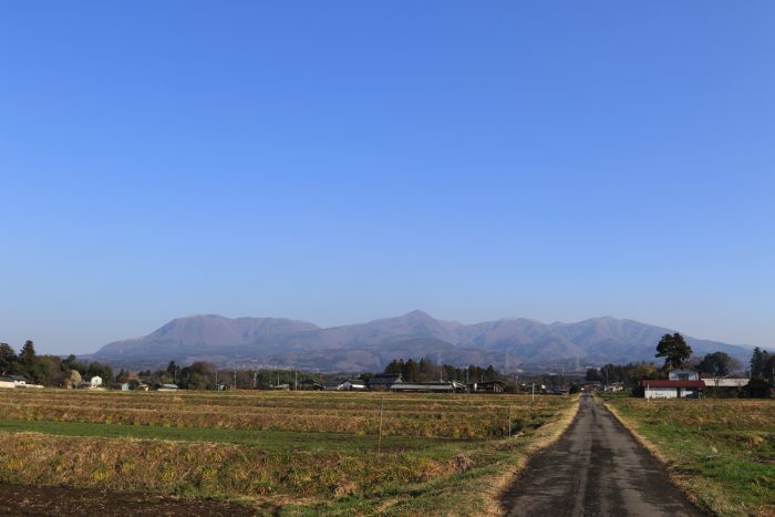 3月25日(日)　AM 7:41　前橋市苗ケ島町