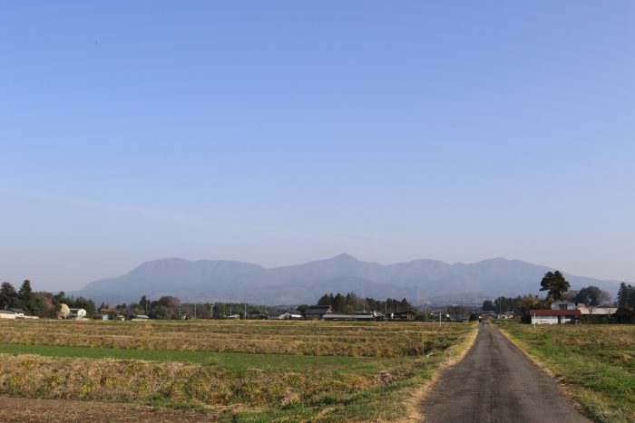 3月29日(木)　AM 7:41　前橋市苗ケ島町