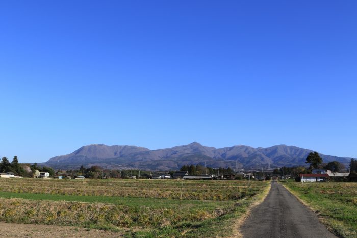 3月30日(金)　AM 7:25　前橋市苗ケ島町