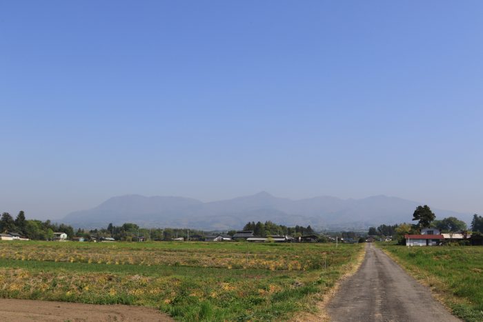 4月21日(土)　AM 8:43　前橋市苗ケ島町