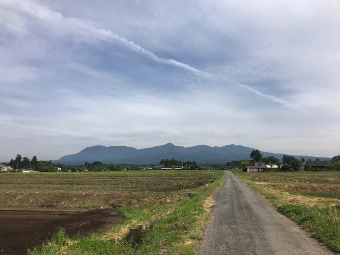 5月12日(土)　AM8:53　前橋市苗ケ島町