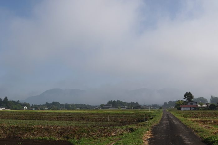 5月14日(月)　AM 7:44　前橋市苗ケ島町