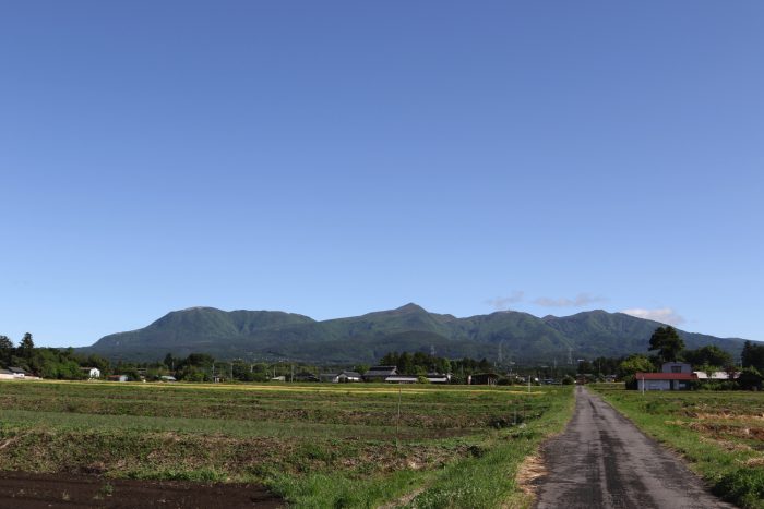 5月19日(土)　AM 7:51　前橋市苗ケ島町