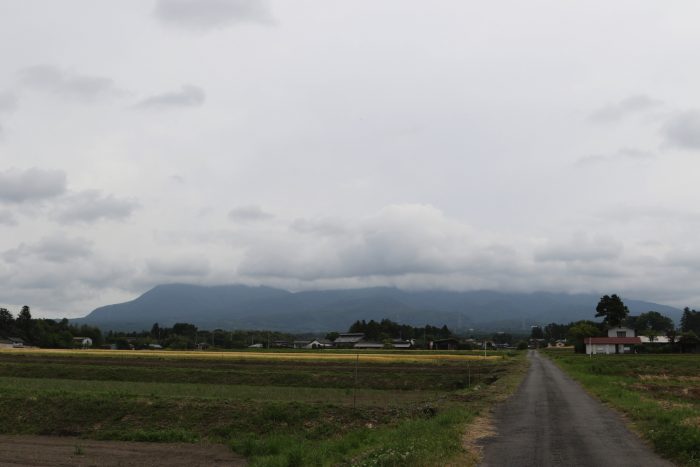 5月23日(水)　AM 7:37　前橋市苗ケ島町