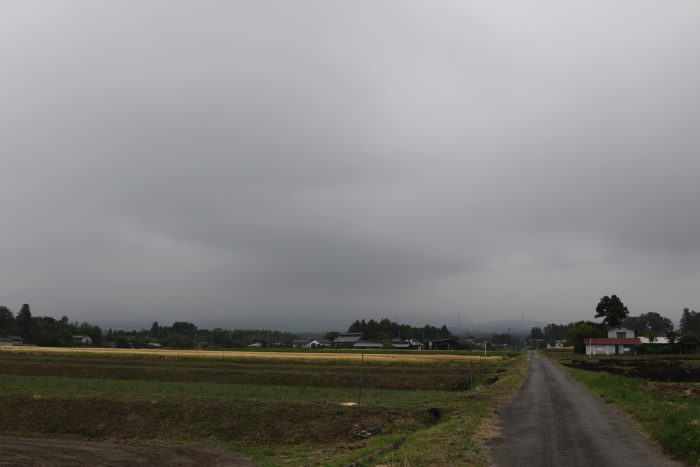 5月28日(月)　AM 7:31　前橋市苗ケ島町