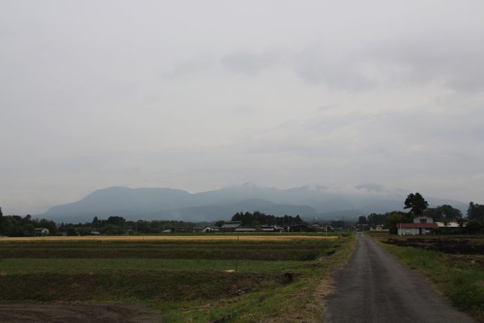 5月30日(水) AM 7:02　前橋市苗ケ島町