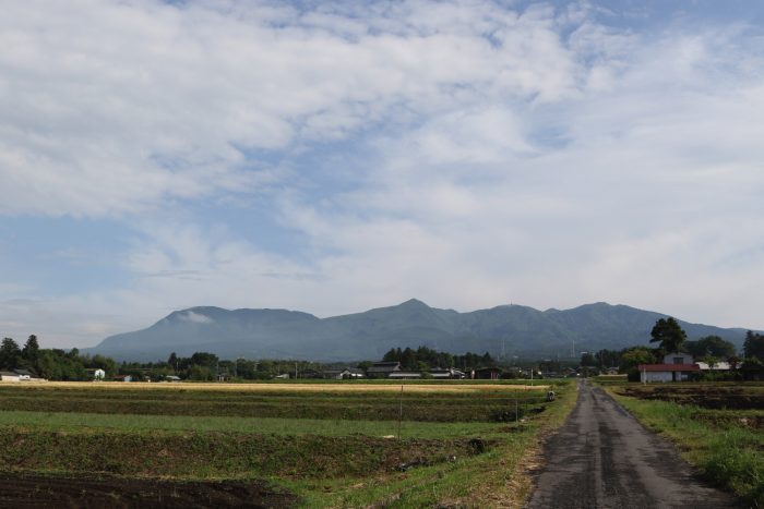 5月31日(木)　AM 7:38　前橋市苗ケ島町