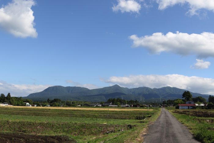 6月1日(金)　AM 7:41　前橋市苗ケ島町