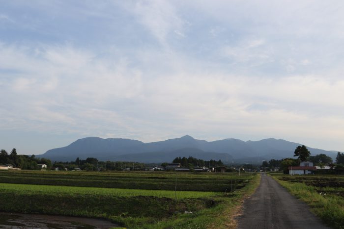 6月4日(月)　AM 5:41　前橋市苗ケ島町