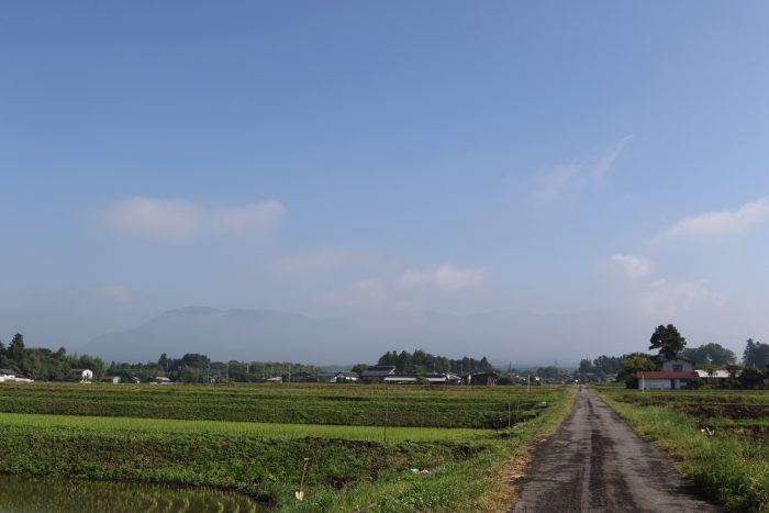 6月7日(木)　AM 7:38　前橋市苗ケ島町