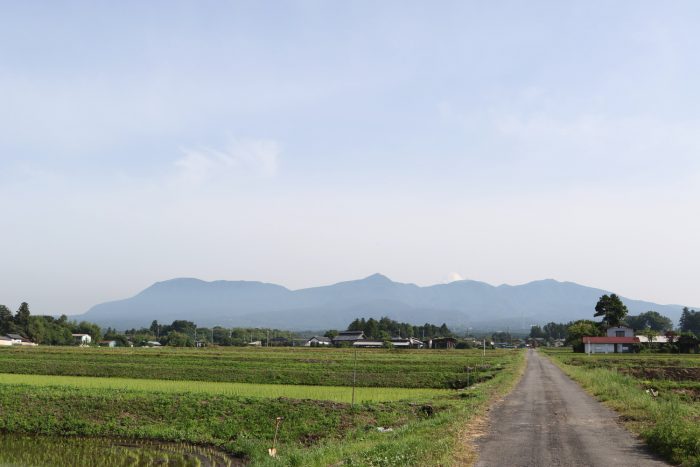 6月8日(金)　AM 7:45　前橋市苗ケ島町