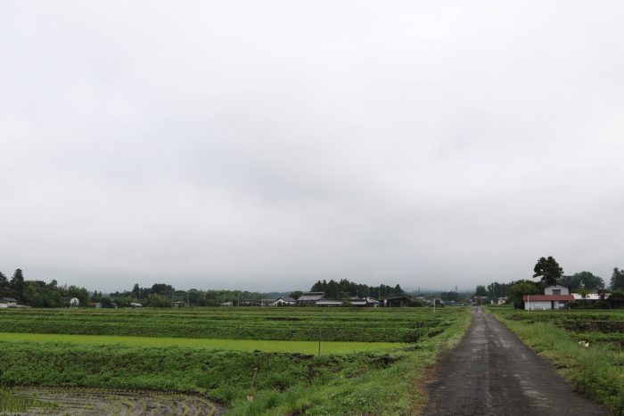 6月12日(火)　AM 7:20　前橋市苗ケ島町