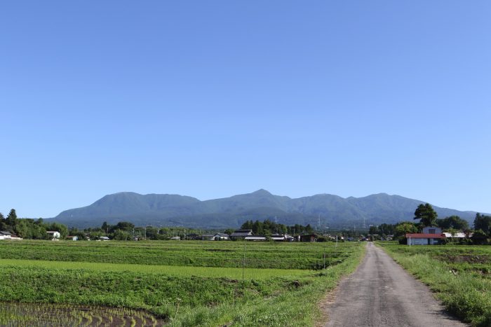 6月14日(木)　AM 7:42　前橋市苗ケ島町