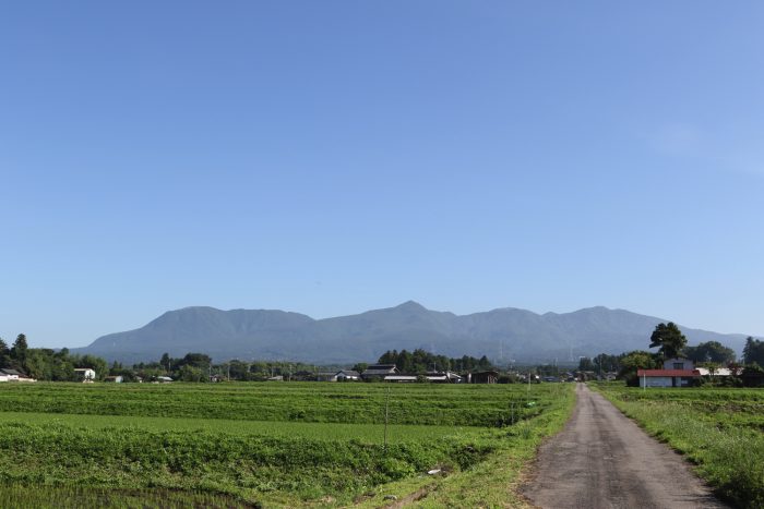 6月22日(金)　AM 7:41　前橋市苗ケ島町