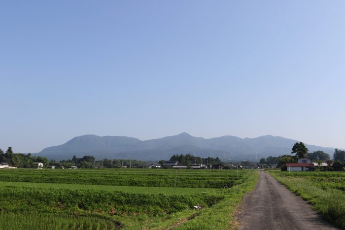 6月25日(月)　AM 7:15　前橋市苗ケ島町