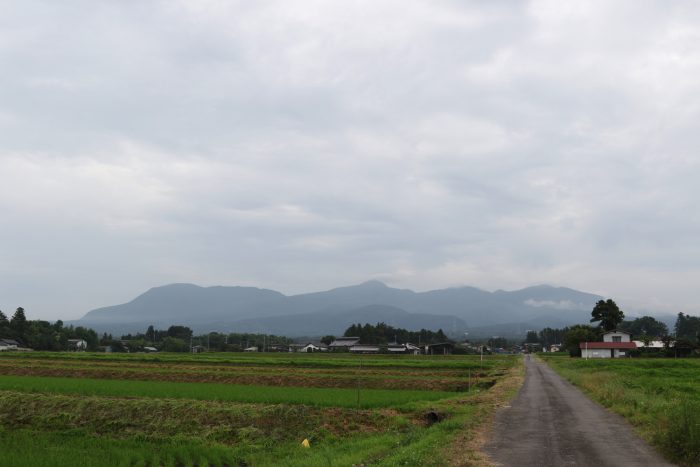 7月4日(水)　AM 7:04　前橋市苗ケ島町