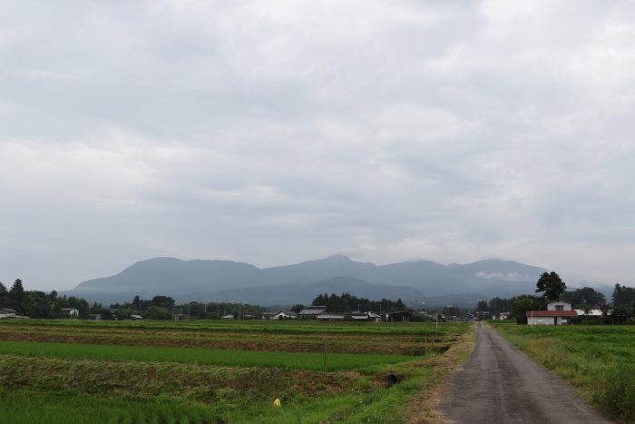 7月4日(水)　AM 7:04　前橋市苗ケ島町