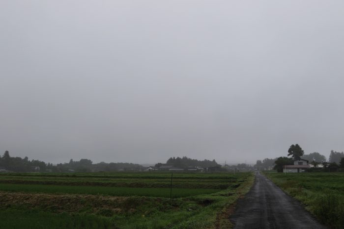 7月7日(土)　AM 8:31　前橋市苗ケ島町