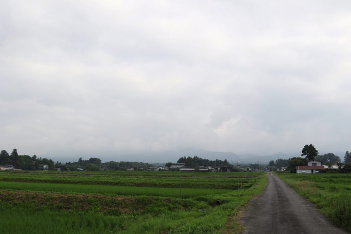 7月10日(火)　AM 7:21　前橋市苗ケ島町