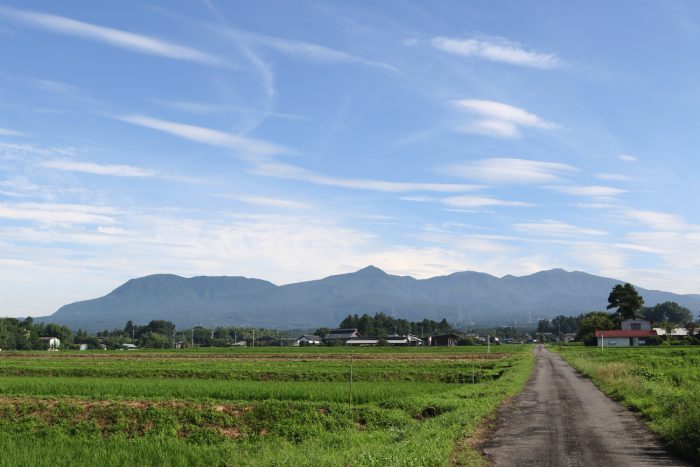 7月11日(水)　AM 7:51　前橋市苗ケ島町