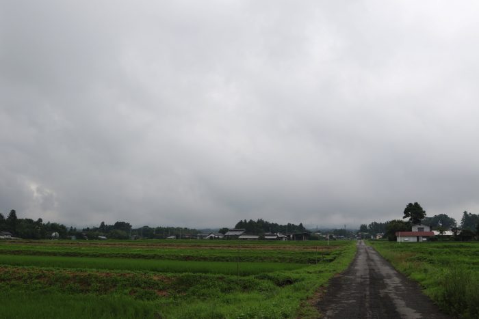 7月12日(木)　AM 7:30　前橋市苗ケ島町