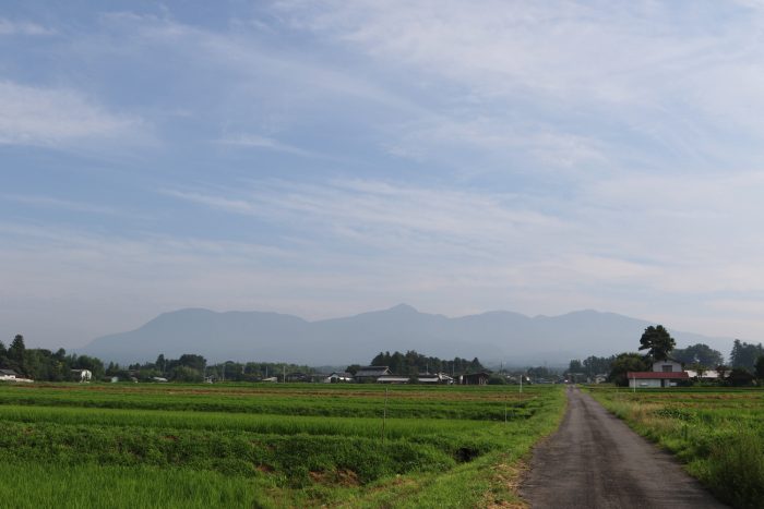 7月17日(火)　AM 7:32　前橋市苗ケ島町